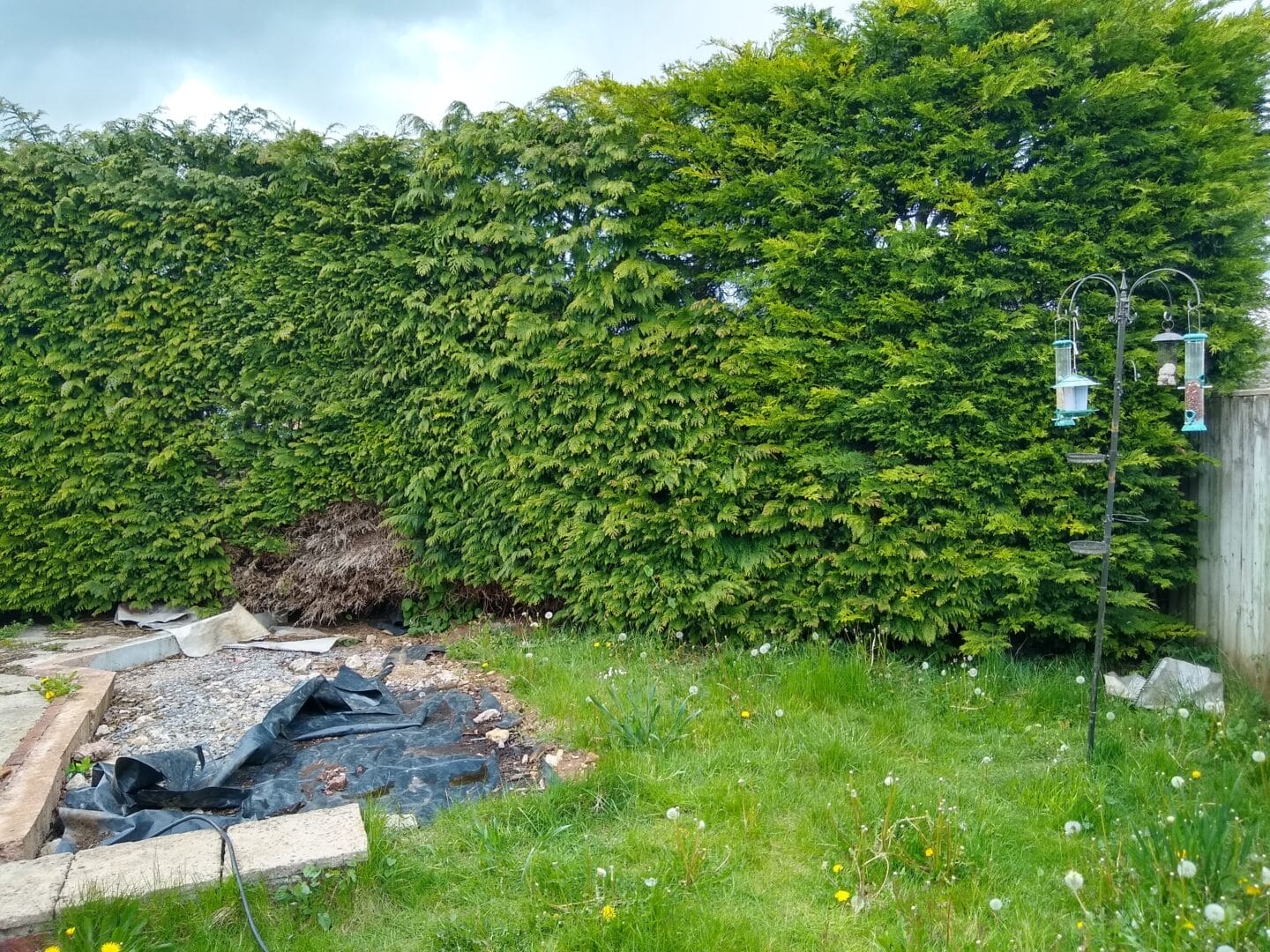 Our Garden Transformation The Before And After Our Garden Transformation The Before And After